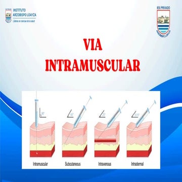 Comprehensive Workshop on Intramuscular Injection Techniques and ...