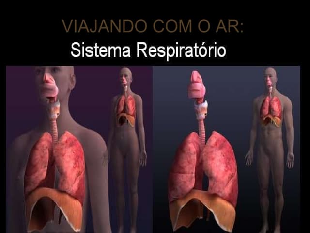 Viajando Com O Ar