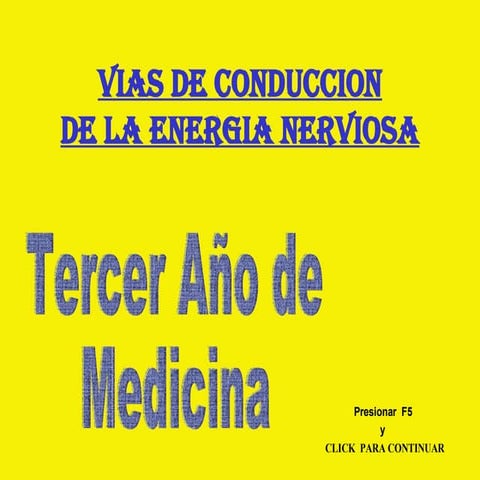 Vias de Conducción de la Energía Nerviosa