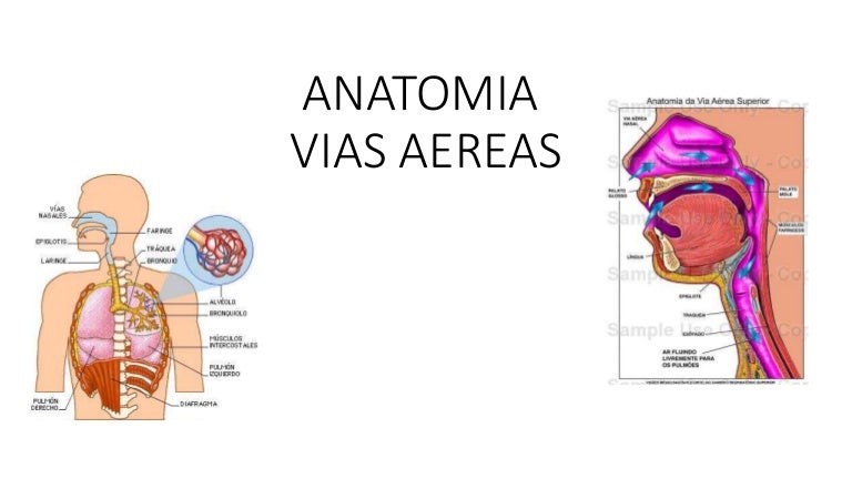 Vias Aereas