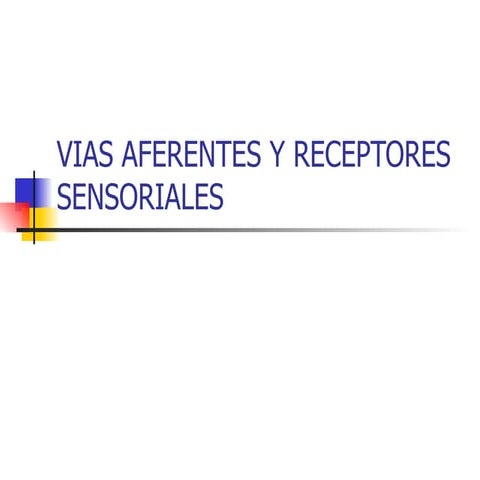 Vias aferentes y receptores sensoriales