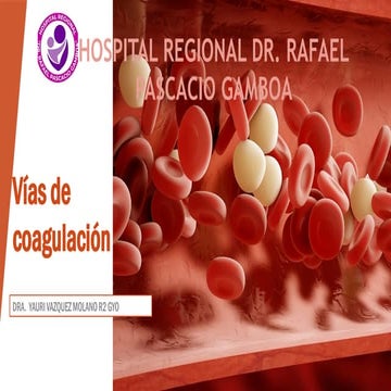 VIAS DE COAGULACION, ambas vias de coagulacion intrinseca y extrinseca