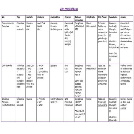 Comprehensive Overview of Metabolic Pathways and Their Regulation | PDF