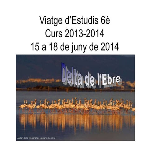 Viatge estudis2014
