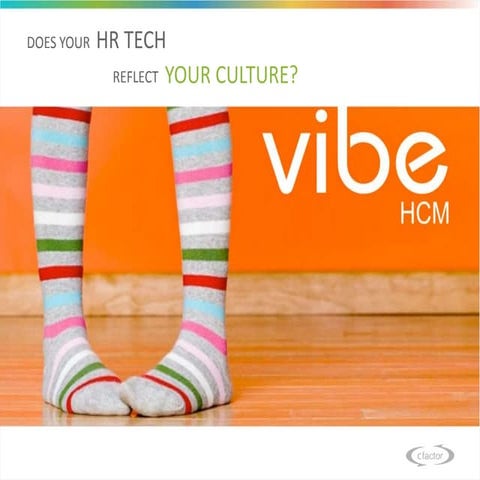 Vibe HCM Presentation