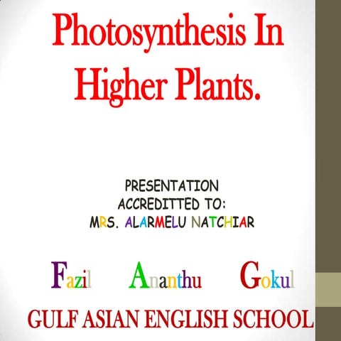 Photosynthesis In Higher Plants- The Dark Phase