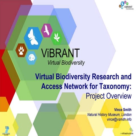 ViBRANT Project Overview