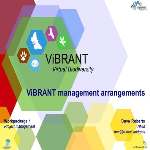 ViBRANT management arrangements
