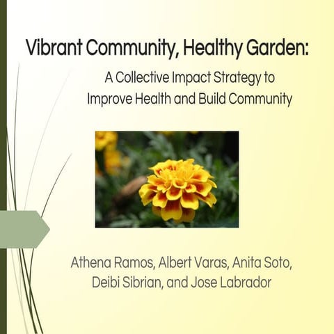 Heartland 2050 Vibrant Community Gardens-UNMC