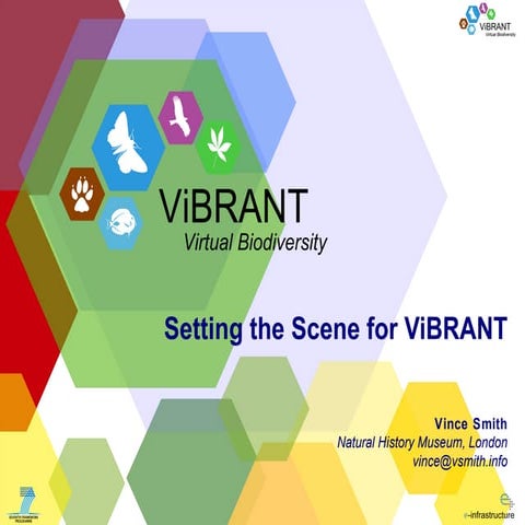Setting the Scene for ViBRANT – Strategy, Philosophy and Communication
