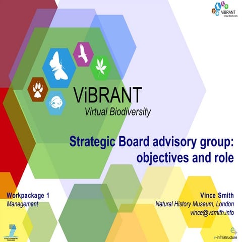 ViBRANT Strategic board