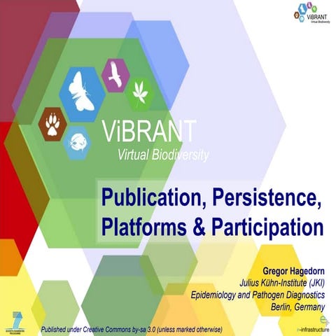 Participation, Publication, Persistence & Platforms