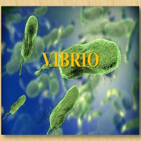 Vibrio the organism and laboratory diagnosis