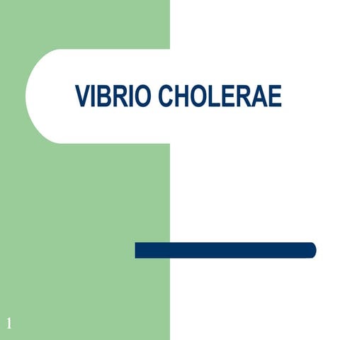 Vibrio Colera