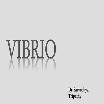 Vibrio