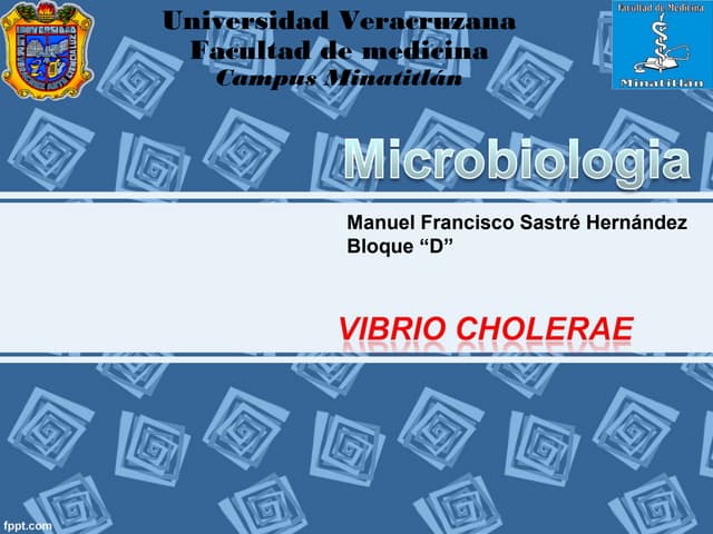 Vibrio cholerae - Microbiologia