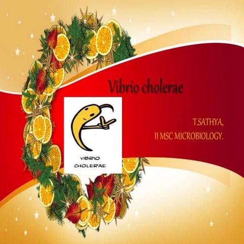Vibrio cholerae PPT for students