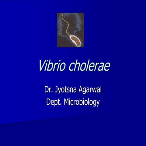 Vibrio_cholerae.ppt