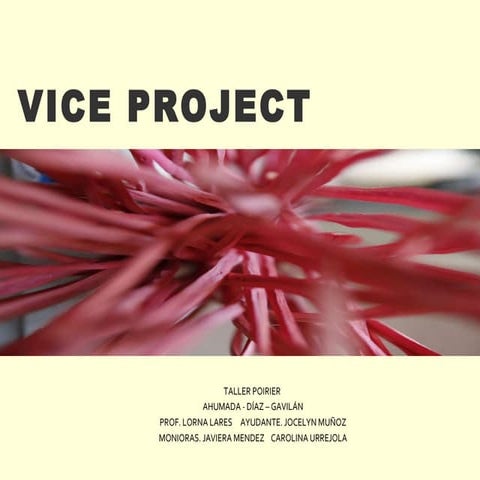 VICE PROJETC