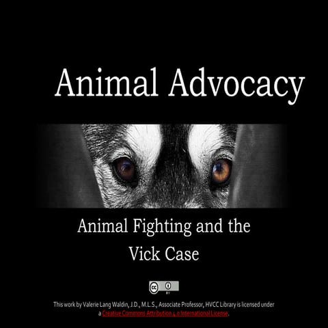 Animal Fighting and the Michael Vick Case