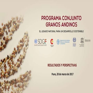 VICMQyIIISIGA-E116-MALDONADO Miguel. Perú. Sistema de Naciones Unidas en el Perú