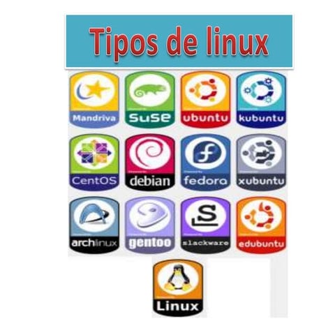 Exploring Linux Distributions: Structure, Customization, and Key ...