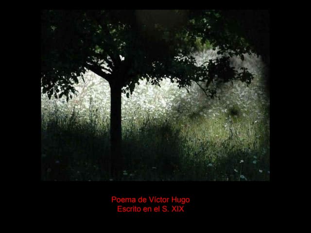 Victor hugo -te_deseo