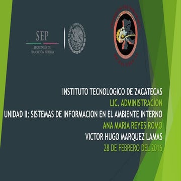 Sistemas de Informacion en el Ambiente Interno
