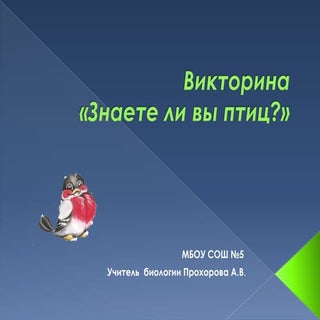 Знаете ли вы птиц?