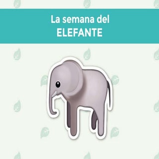 La semana del elefante de Victor Ma...
