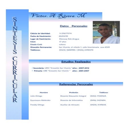 Victor sisntesis curricular