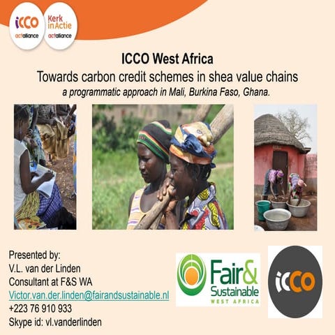 Towards carbon credit schemes in shea value chains