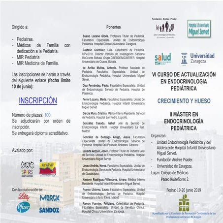 Vi curso actualizacion endocrinologia pediatrica 2019