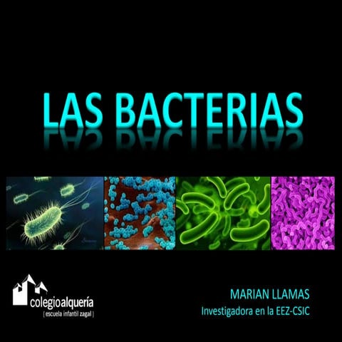 Vida de las bacterias  Marian  Llamas
