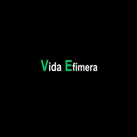 Vidaefimera