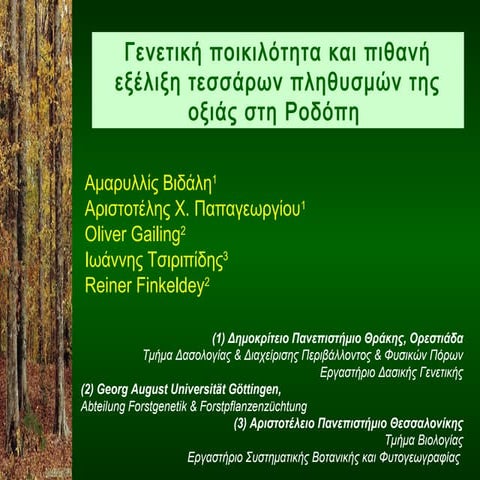 Γενετική ποικιλότητα και πιθανή εξέλιξη τεσσάρων πληθυσμών της οξιάς στη Ροδόπη