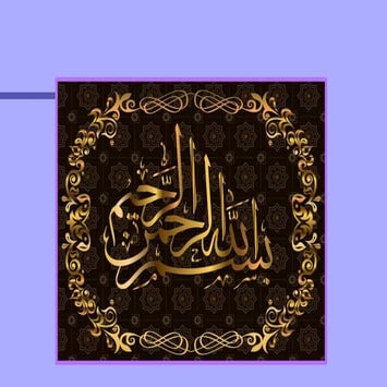 ppt from cells to organsimsms