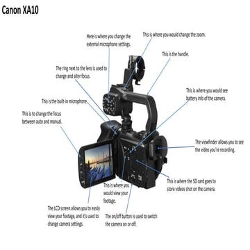 Video camera analysis 