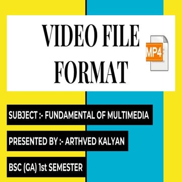 Video file format