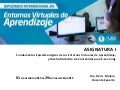Asignatura I del Diplomado Internacional “Entornos Virtuales de Aprendizaje” 