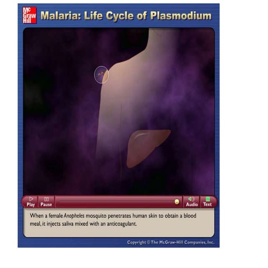 Videos and animations on health