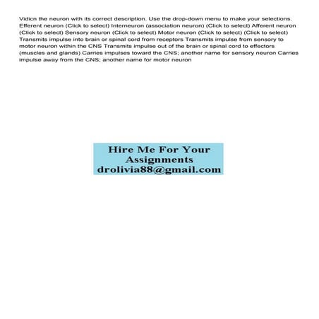 Vidicn the neuron with its correct description Use the drop.pdf