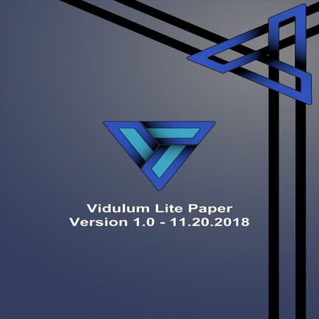 Vidulum Lite Paper