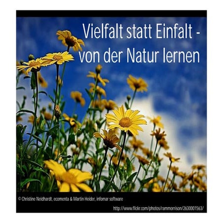 Vielfalt statt einfalt   von der natur lernen v1.0 xpdays