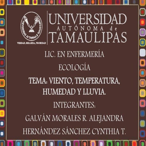 Viento, temperatura, humedad y lluvia 