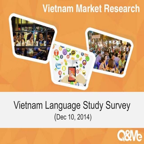Vietnamese language study survey