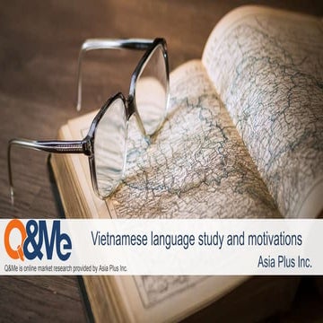 Vietnamese language study and motivation
