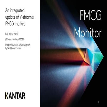 Viet Nam FMCG 2022