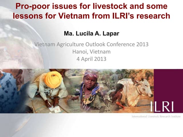 Pro-poor issues for livestock and some lessons for Vietnam from ILRI’s research