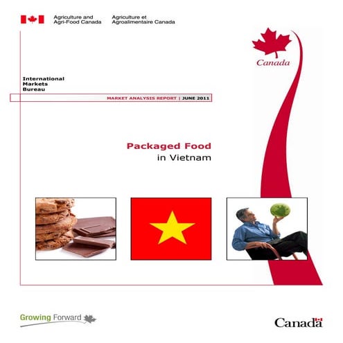 Vietnam Packaged Food Overview  